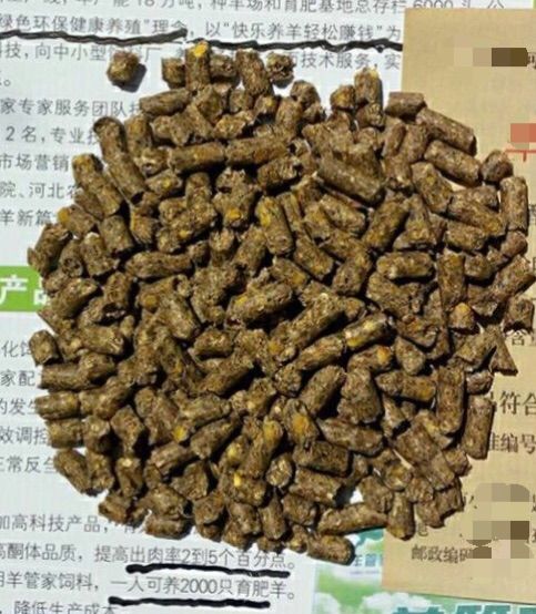 成年母羊精料补充料